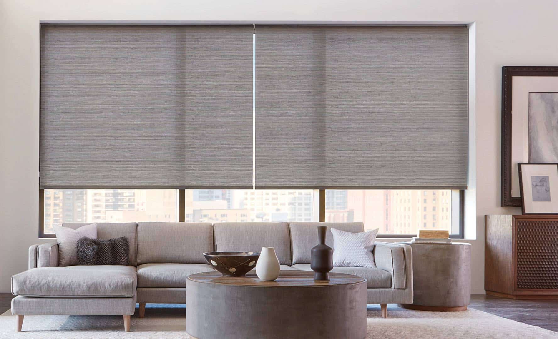 Roller Shades Living Room